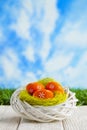 Easter eggs in the nest and wooden table on nature background Royalty Free Stock Photo