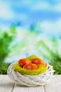 Easter eggs in the nest and wooden table on nature background Royalty Free Stock Photo