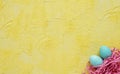 Easter eggs in the nest on yellow background.Easter concept.Copy space. Royalty Free Stock Photo