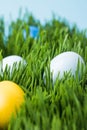 Easter eggs painted in different colors on grass Royalty Free Stock Photo