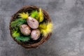 Easter eggs, painted and gold foiled, in a nest with green and yellow feathers. Traditional easter decoration on a grundge granite Royalty Free Stock Photo