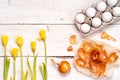 Easter eggs painted with natural dye, onion husk on a white wooden background and yellow spring flowers Narcis