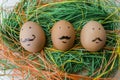 Easter eggs, Paschal eggs