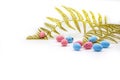 Easter Eggs Pink, Blue Color And Gold Fern Branches Isolated On White Background
