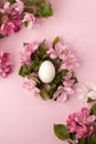 Easter eggs and pink flowers on white background. Easter nest. Flat lay, top view, concept of spring, femininity and beauty.