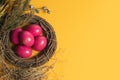 Easter Eggs Pink On Yellow Background With Spoon And Fork And Dried Grass With Wood Vine
