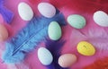 Easter eggs and plumelets colored with different colors on pink Royalty Free Stock Photo