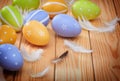 Easter eggs and plumelets Royalty Free Stock Photo