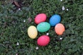 Colored Easter Eggs on a Meadow