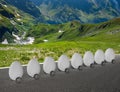 Easter eggs queue as cars on wheels on the road in spring mountains