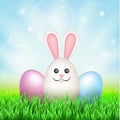 Easter eggs, rabbit Royalty Free Stock Photo