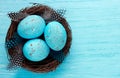 Easter eggs in real bird nest top view ,symbolic Easter decoration