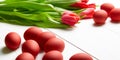 Easter Eggs and red flowers on white wooden table. Painted chicken eggs and red tulip Royalty Free Stock Photo