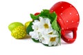 Easter eggs and red jug with white flowers