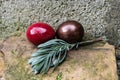 Easter eggs with rosemarry on stone Royalty Free Stock Photo