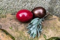 Easter eggs with rosemarry on stone Royalty Free Stock Photo