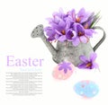 Easter eggs and saffron flowers