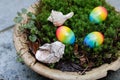 Easter eggs and shells in the moss Royalty Free Stock Photo