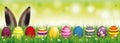 Easter Eggs Spring Background Bunny Ears Header Royalty Free Stock Photo