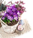 Easter eggs from spring flowers crocuses