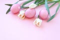 Easter eggs and spring flowers narcissi on pink background