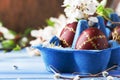 Easter eggs and spring white flowers on Easter blue background with copy space Royalty Free Stock Photo