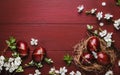 Easter eggs and spring white flowers on Easter red wood background with copy space Royalty Free Stock Photo