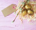 Easter eggs straw willow on a pink wooden background Royalty Free Stock Photo