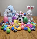 Easter eggs and stuffed bunnies ready for the egg hunt Royalty Free Stock Photo
