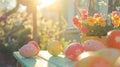 Easter eggs with the sun behind them Royalty Free Stock Photo
