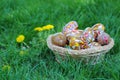 Easter Eggs Royalty Free Stock Photo