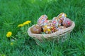 Easter Eggs Royalty Free Stock Photo