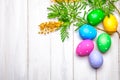 Easter eggs top view branch mimosa spring Royalty Free Stock Photo