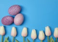 Easter eggs with tulip flower Royalty Free Stock Photo