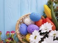 Easter eggs tulip flowers on blue wooden Royalty Free Stock Photo