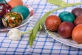 Easter eggs and tulip Royalty Free Stock Photo