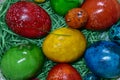 Easter eggs in various colors Royalty Free Stock Photo
