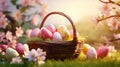 easter eggs in vicker basket on grass and flowers background Royalty Free Stock Photo