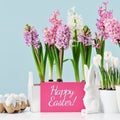 Easter eggs bunny with many spring flower pots on blue with card Royalty Free Stock Photo