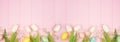Easter eggs and white spring tulip flower bottom border against a pink wood banner background Royalty Free Stock Photo