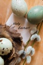 Easter eggs, willow branch and feathers` nest