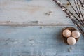Easter eggs and willow twigs Royalty Free Stock Photo