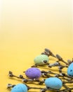 Easter eggs. Willow twigs. Yellow background Royalty Free Stock Photo