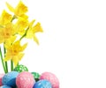 Easter eggs on wnite background Royalty Free Stock Photo