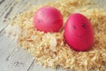 Easter eggs on wood sawdust. Two amusing Easter eggs with the drawn persons.