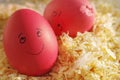 Easter eggs on wood sawdust. Two amusing Easter eggs with the drawn persons. Joyful and the sad broken egg.