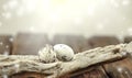Easter. Eggs on a wooden background. Light bokeh background, Magic Easter. Royalty Free Stock Photo