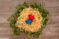 Easter eggs on a wooden background in the nest Situated on the middle Royalty Free Stock Photo