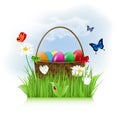 Easter eggs in wooden basket on spring meadow Royalty Free Stock Photo