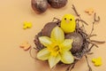 Easter eggs, wooden bunnies and bird\'s nest with chicken and narcissus flower. Festive concept